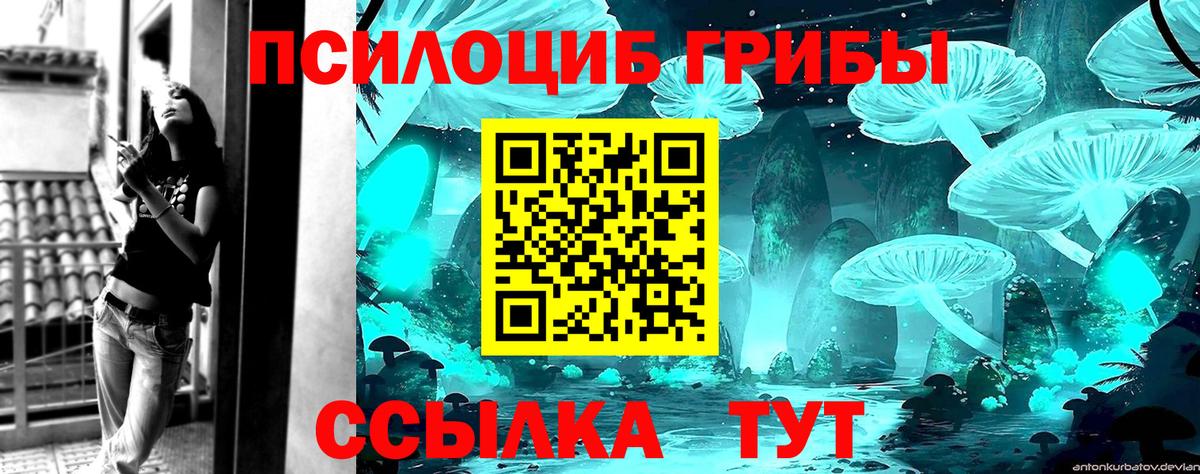 цены   Вход с VPN  Заволжье  Псилоцибиновые грибы Psilocybe 